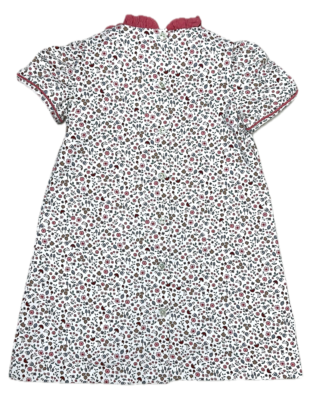 Isabella Fall A line Girls Dress