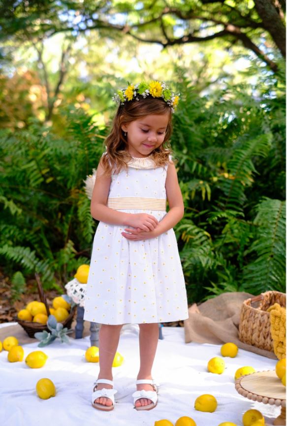 Yellow Daisies Embroidered Girl's Classic sleeveless Dress - Little Threads Inc. Children's Clothing