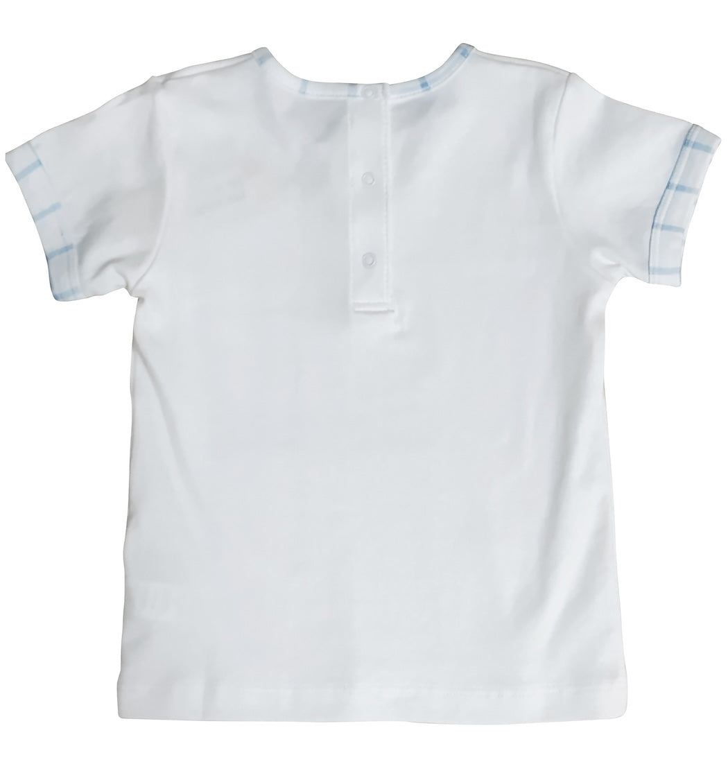 Boy Short set Pima Cotton Palm Beach Collection - Little Threads Inc. Children's Clothing