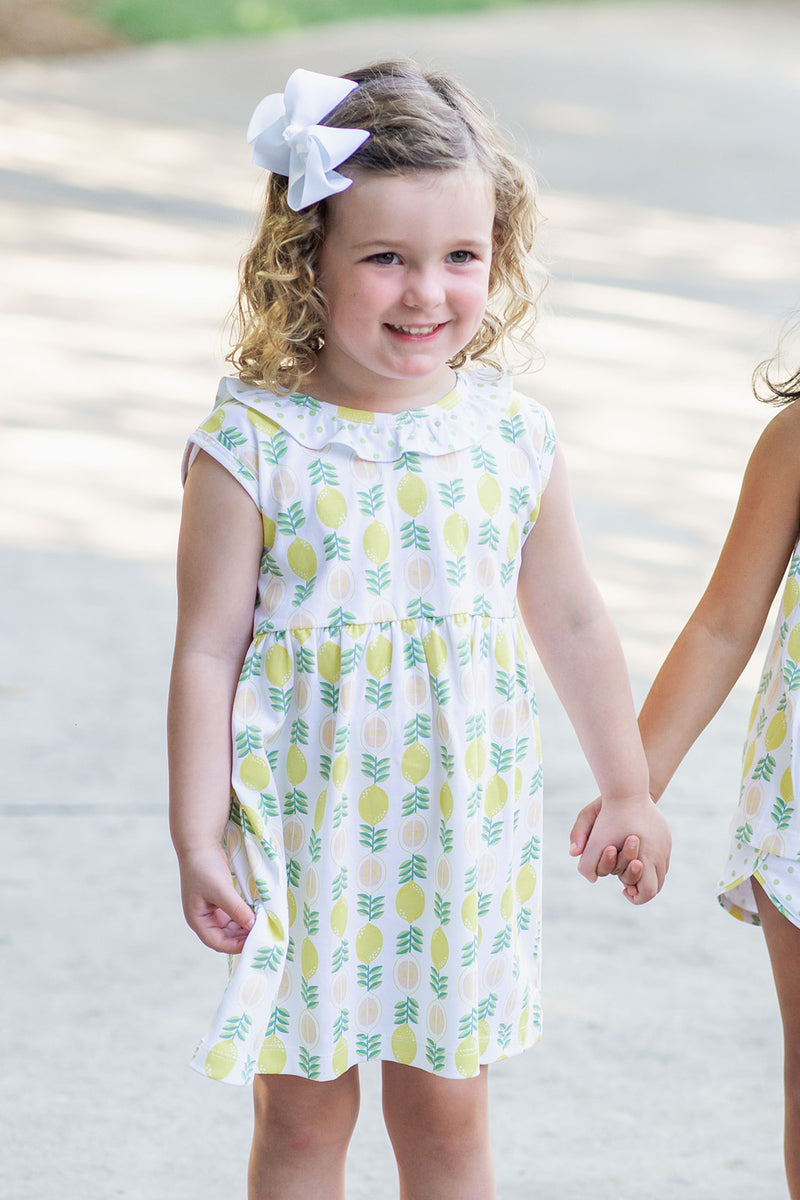Girl's "Lemonade Stand" pima print dress - Little Threads Inc. Children's Clothing