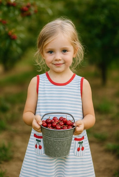Cherry Blue Striped girl's A line dress