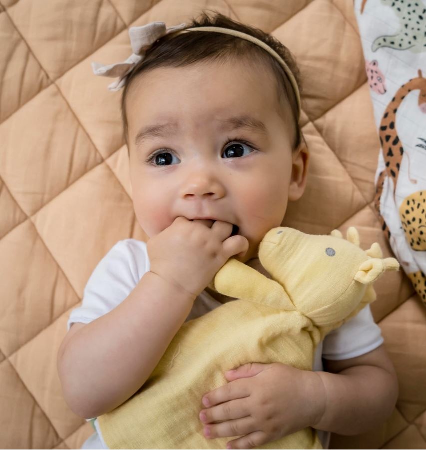 Safari Organic Giraffe Comforter - Little Threads Inc. Children's Clothing