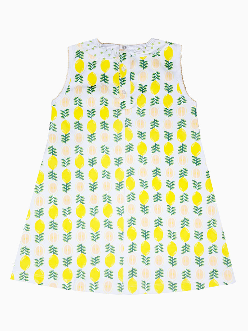 Girl's "Lemonade Stand" pima print A Line dress - Little Threads Inc. Children's Clothing