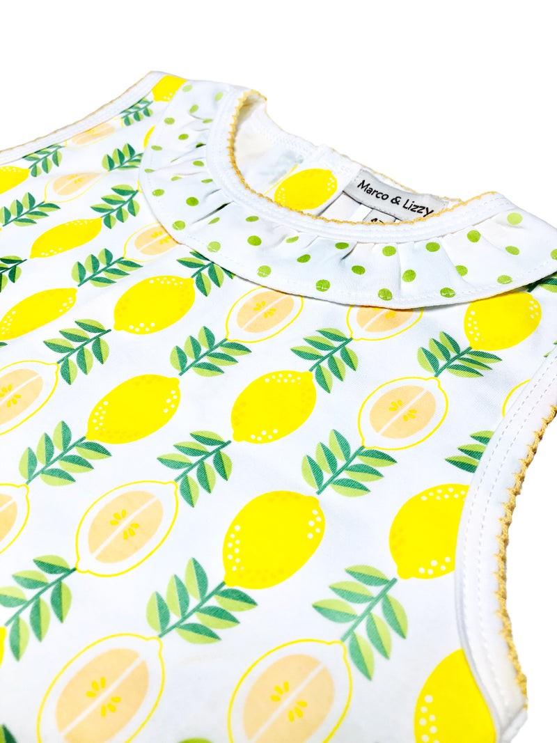 Girl's "Lemonade Stand" pima print A Line dress - Little Threads Inc. Children's Clothing